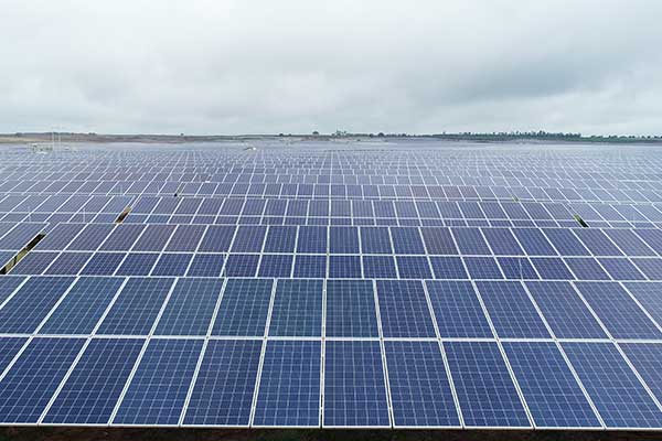 Trunsun Solar India AP Solar Park 13.6MW successfully connected