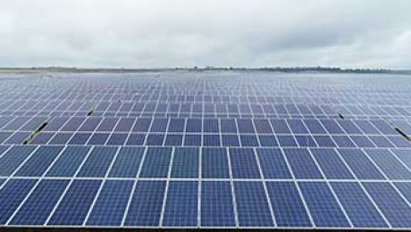 Trunsun Solar India AP Solar Park 13.6MW successfully connected